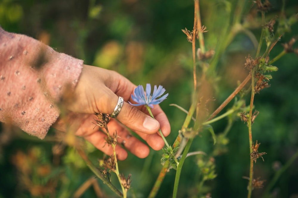 Blauer Schmetterling sitzt auf Personenhand