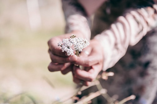 Close-up of a quinceañera’s hands holding her bouquet with soft natural light.