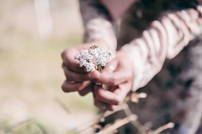A soft-focus photo of a woman holding a delicate bouquet of wildflowers in a sunlit garden.