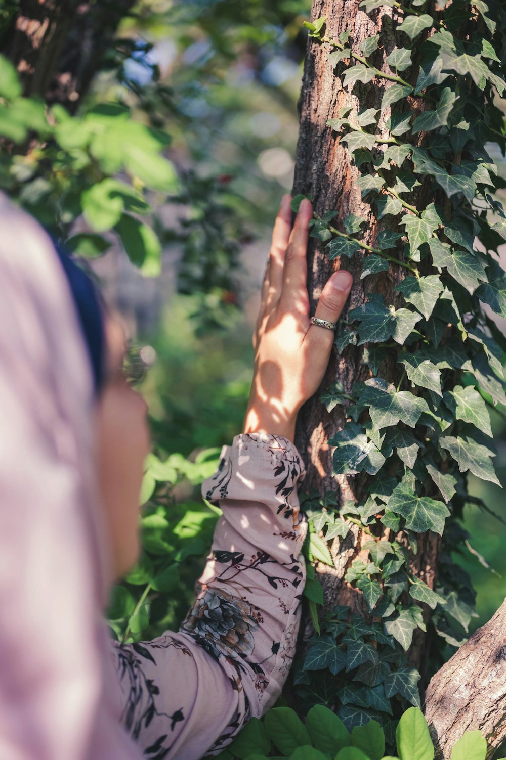 person holding brown tree trunk