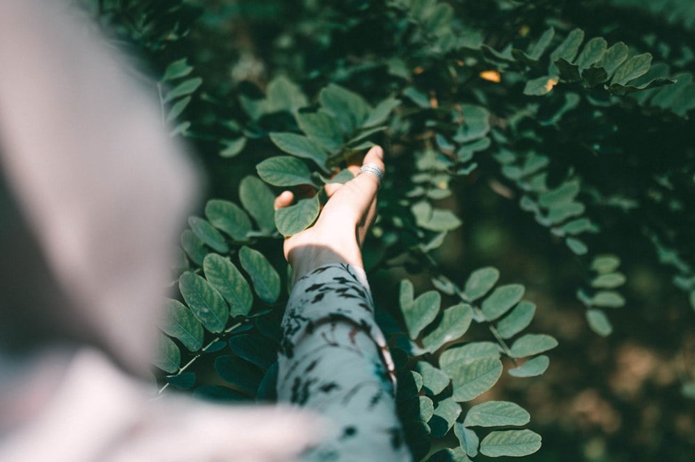 person in black and green camouflage pants with black nail polish holding green leaves