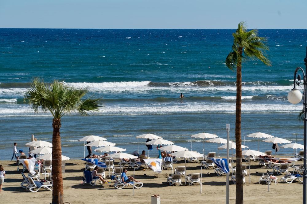 parasols blancs et bleus sur la plage pendant la journée