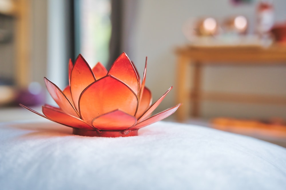 red flower on white table