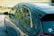 The close-up side view of a car reflects trees and foliage in its windows and glossy surface. The car, parked on a street, displays a sticker indicating a 7-year warranty on the rear window. The background includes a blurred landscape with greenery.