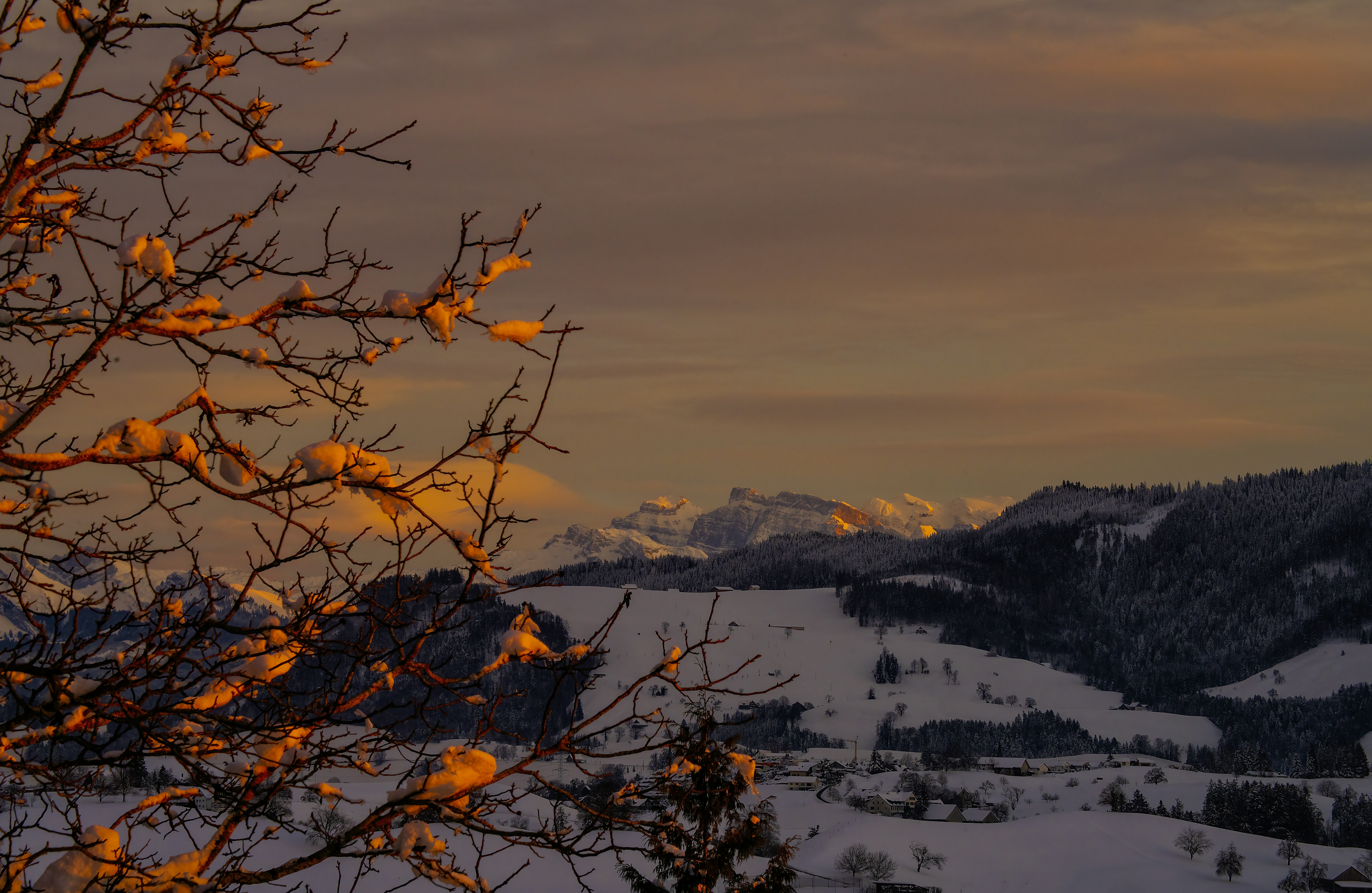 Photo by rgaleriacom