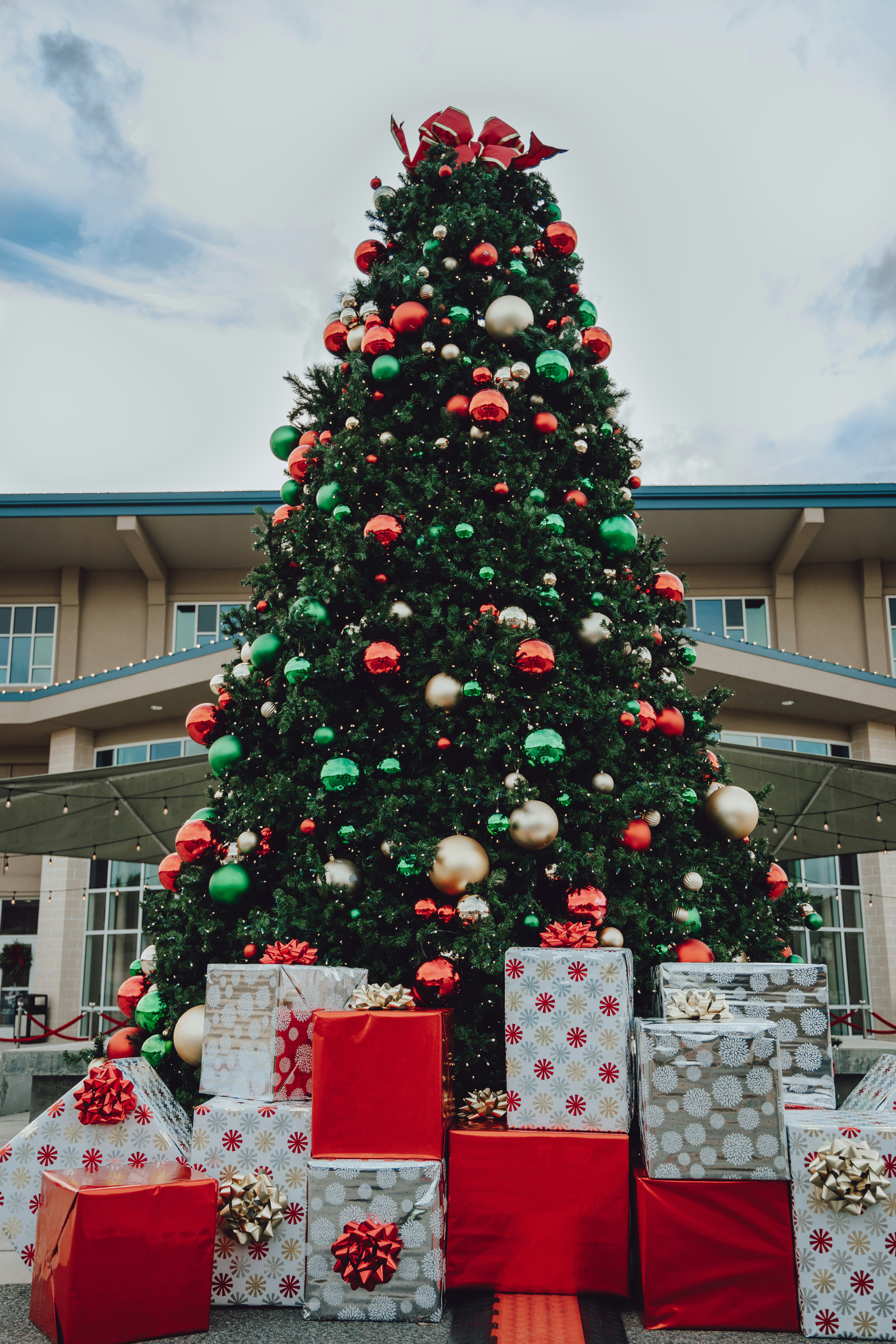 Big Christmas Tree