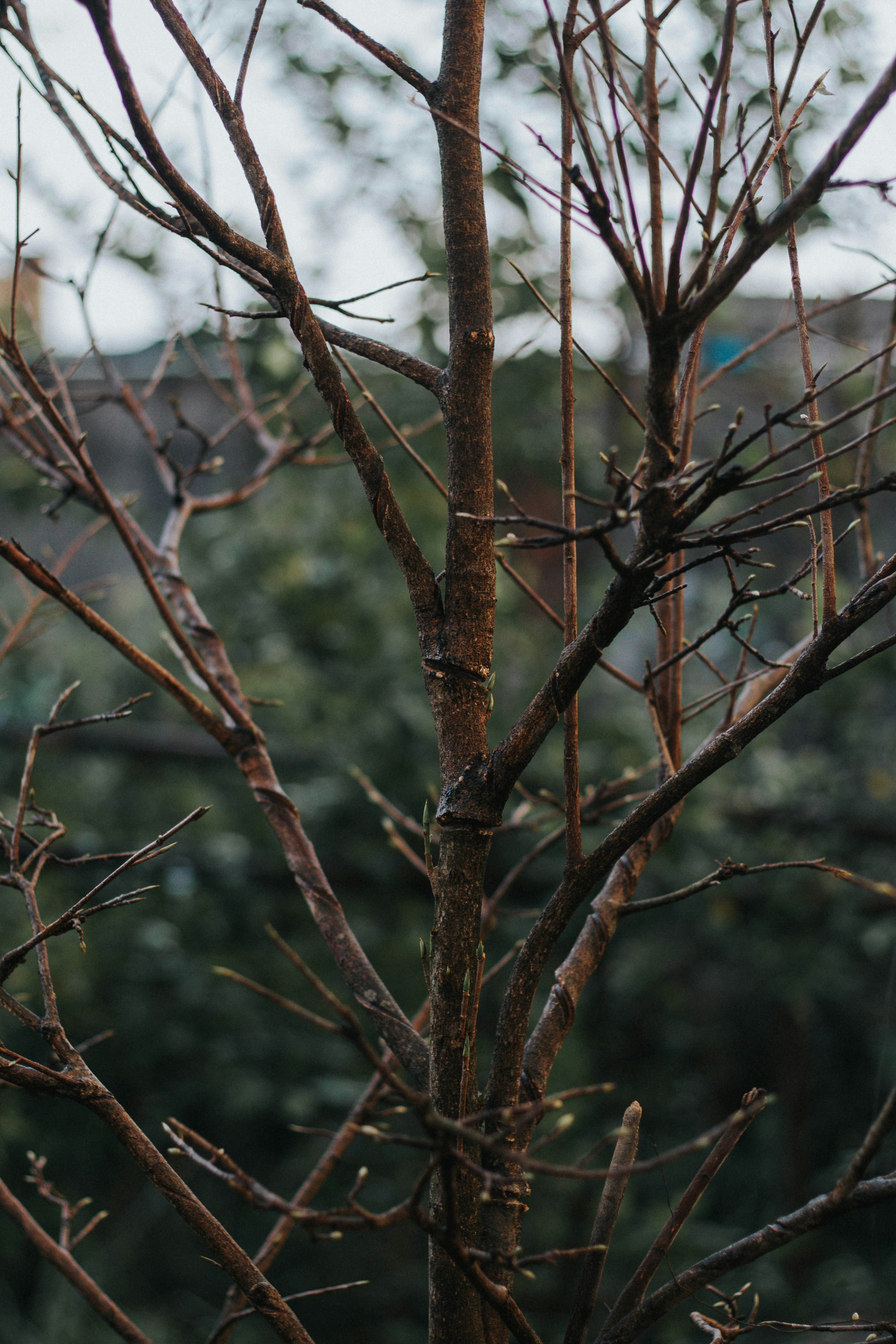 Photo by nguyendhn
