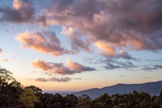 A vibrant image showcasing a travel influencer in a scenic location.