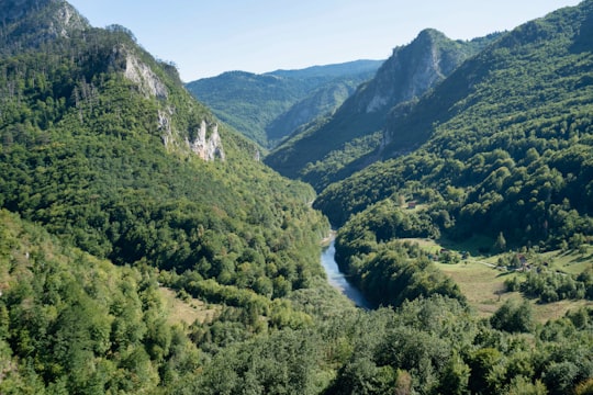 river between green mountains during daytime in Durmitor mendigunea Montenegro
