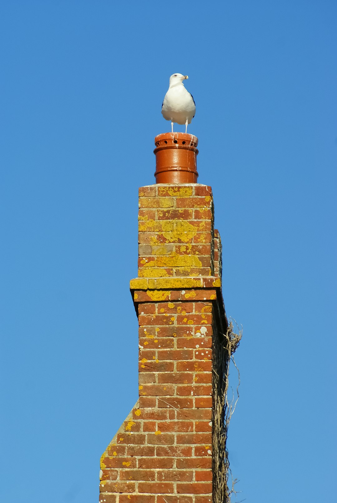  brown brick tower under blue sky during daytime chimney