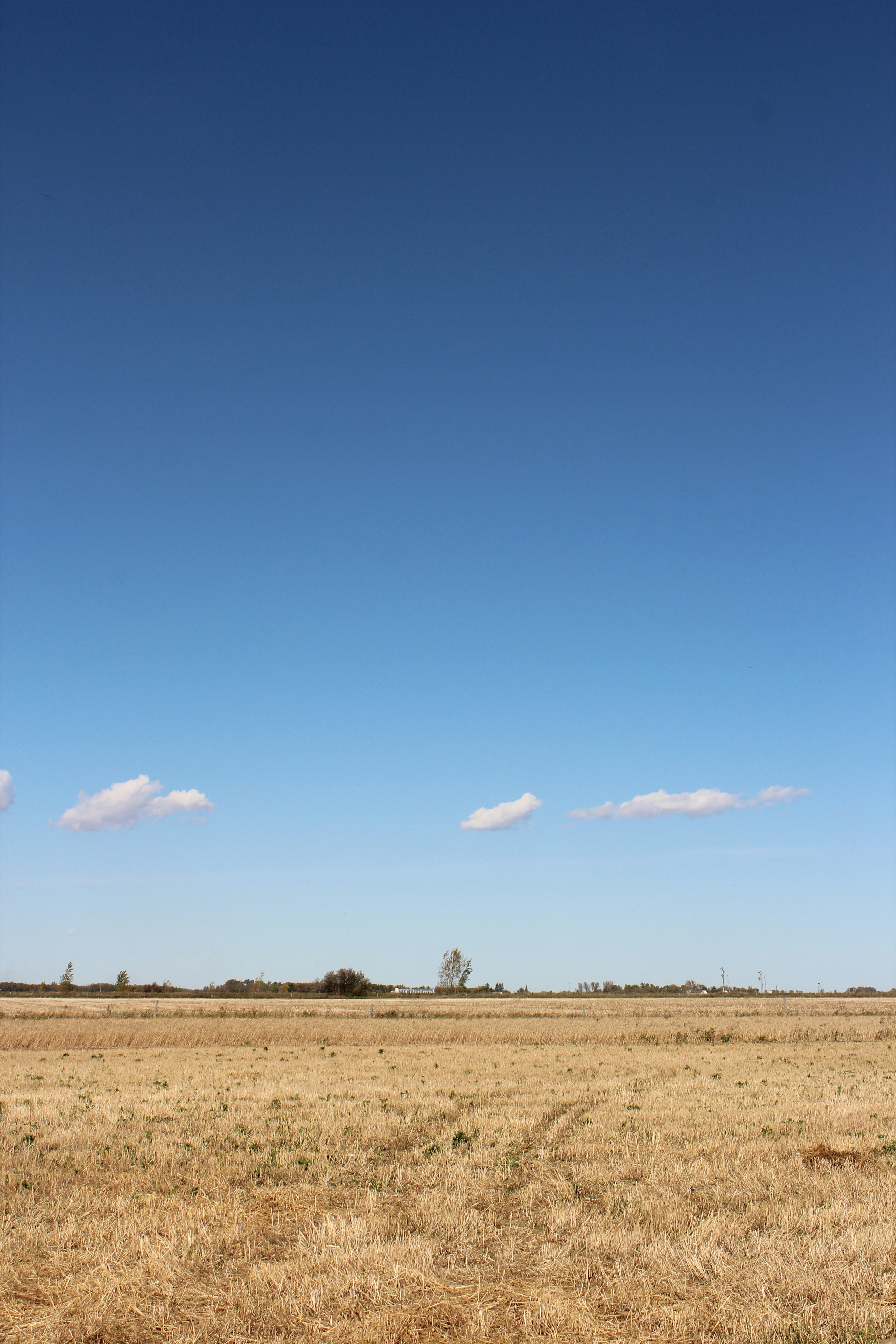 brown field under blue sky during daytimeby Pete McBride