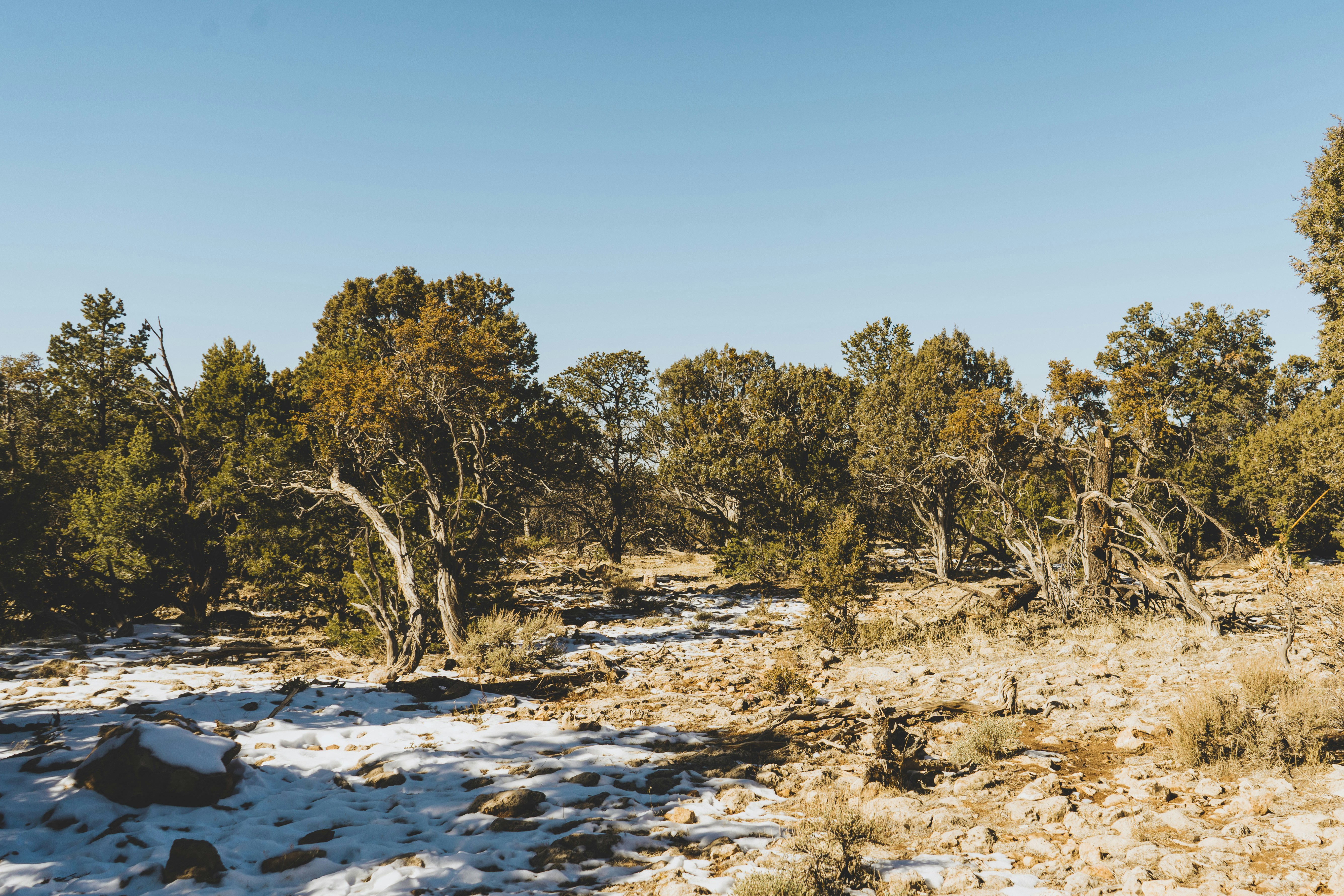 Photo by goodchicken26