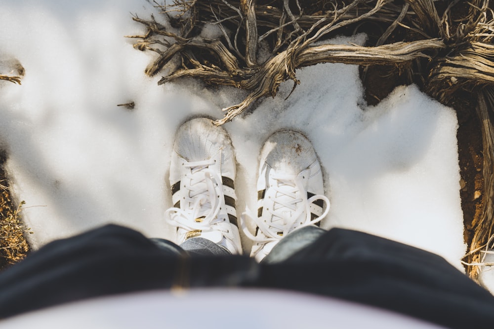 person wearing white lace up sneakers