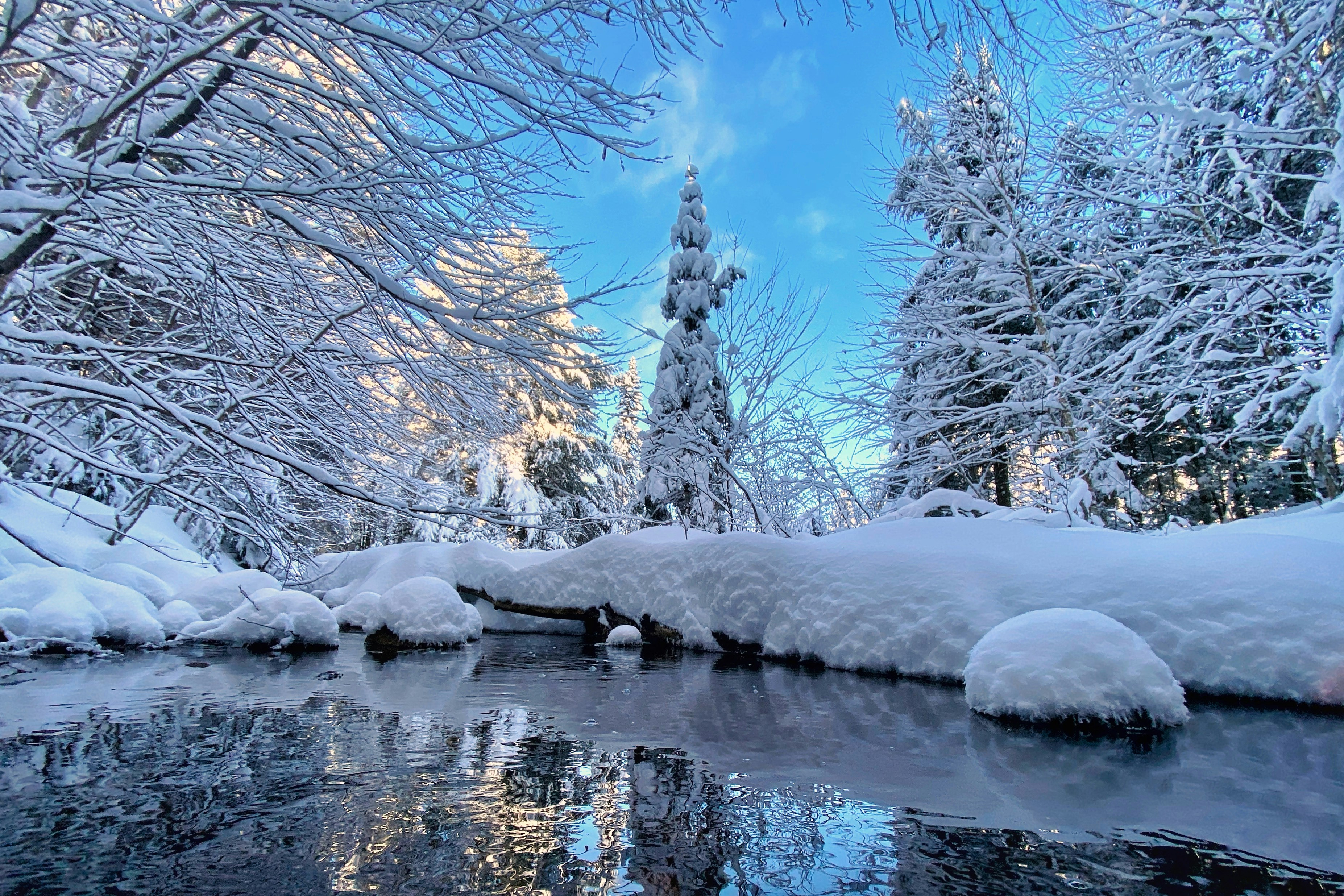 Snowy landscape with tree reflections in calm water, embodying winter tranquility for Outland Expeditions' rafting insights.