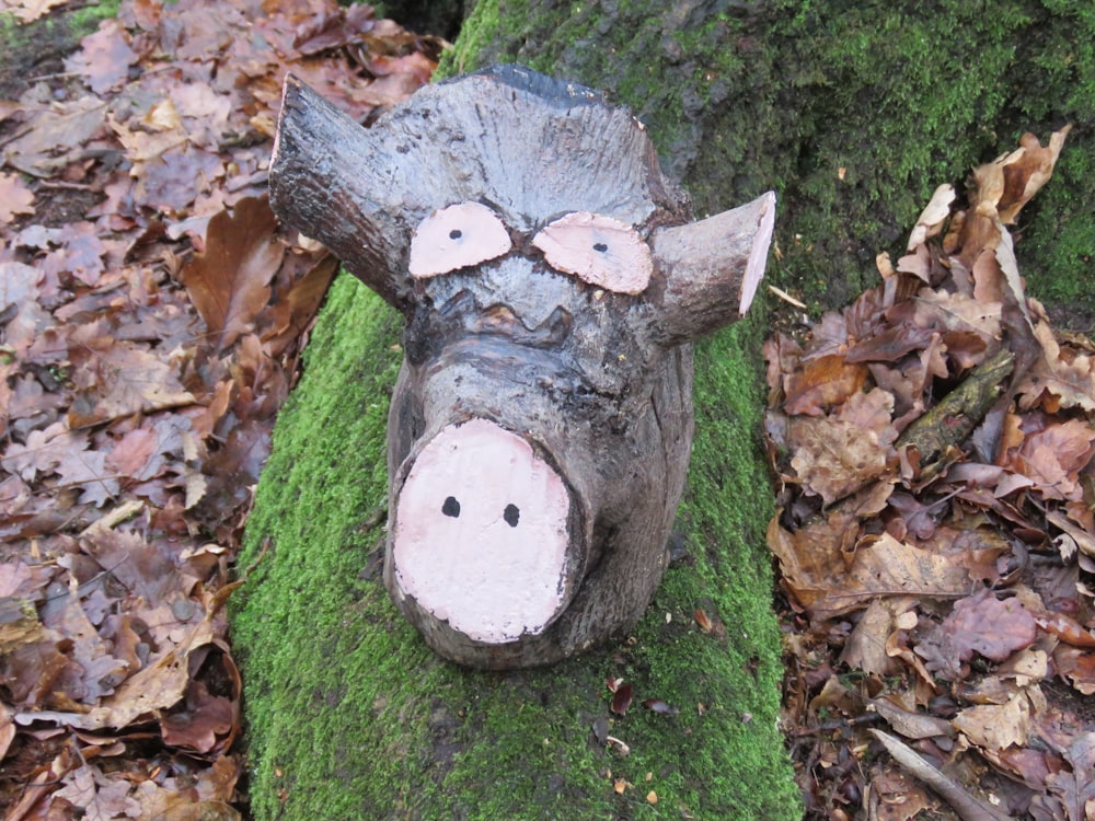 gray and white cow plush toy on green moss