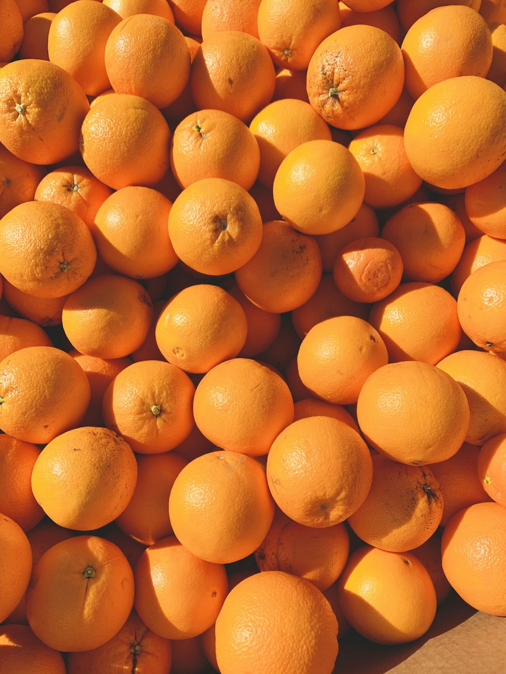 orange fruits on white ceramic plate