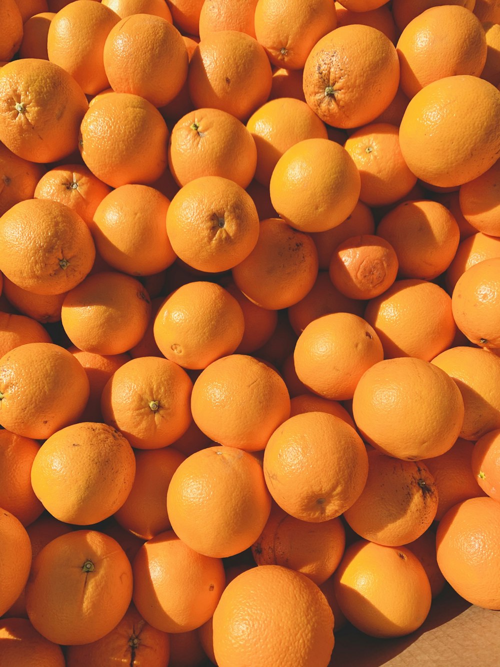 frutas naranjas en plato de cerámica blanca