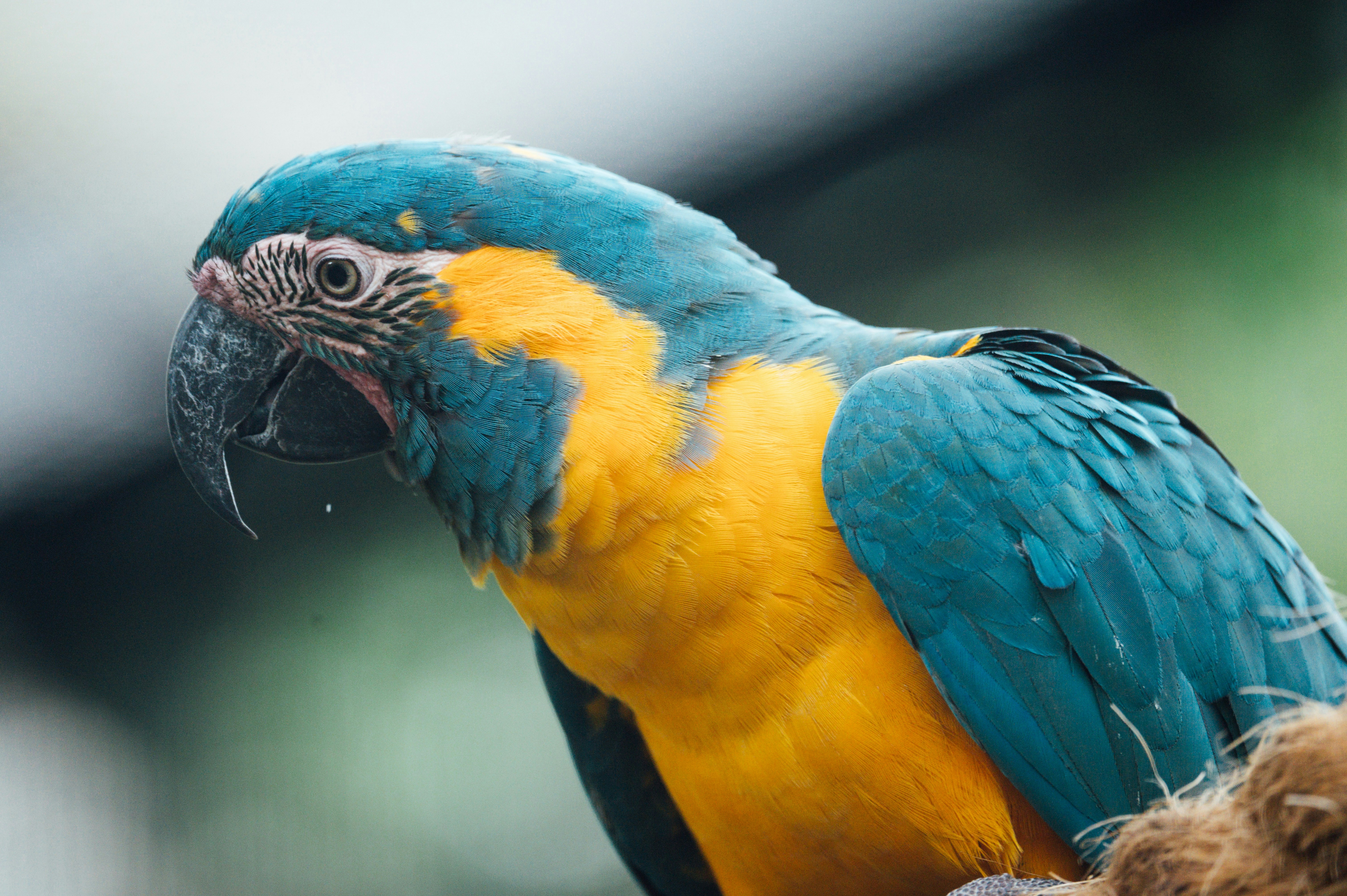 Photo by chuttersnap