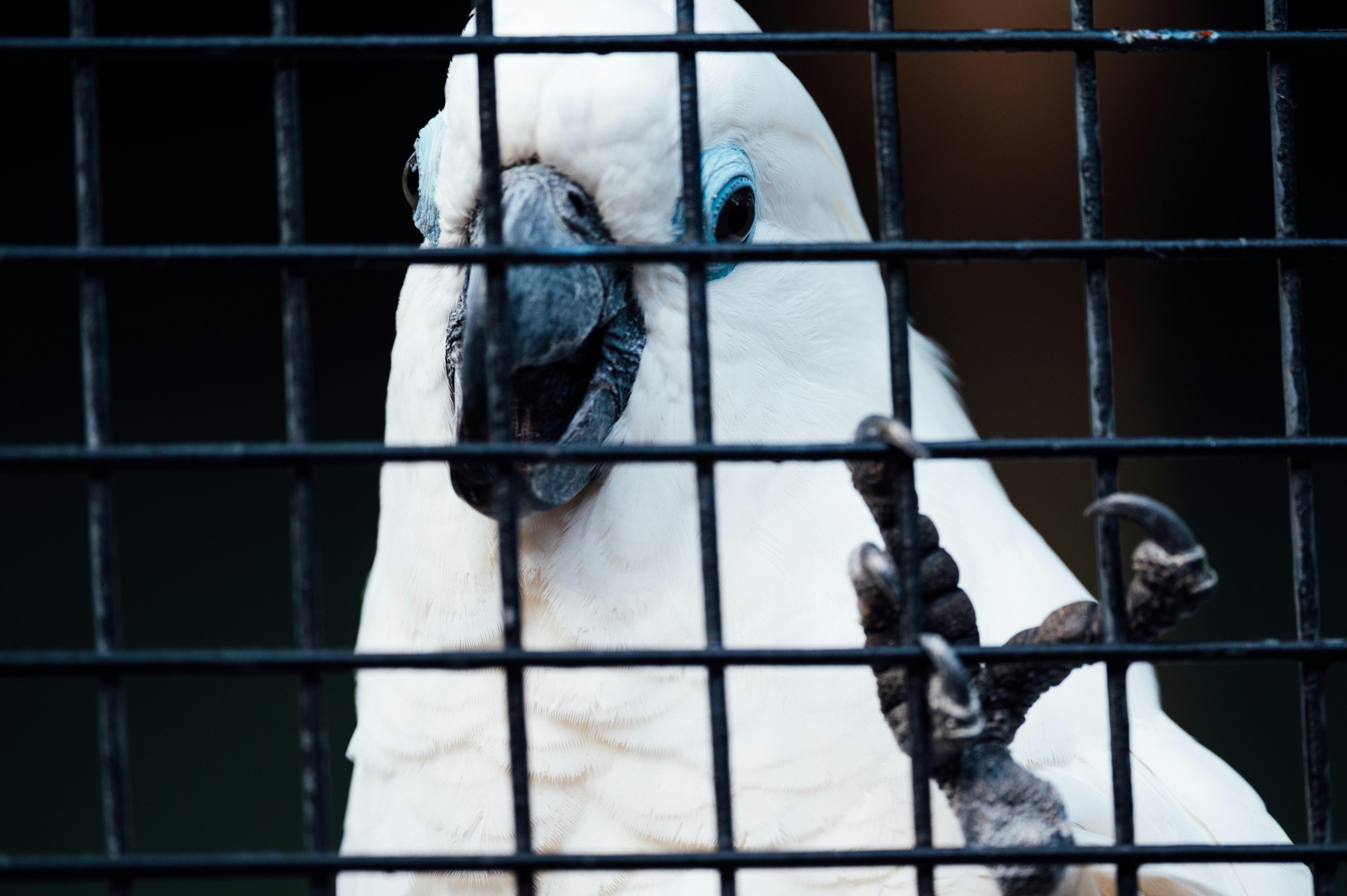 Photo by chuttersnap