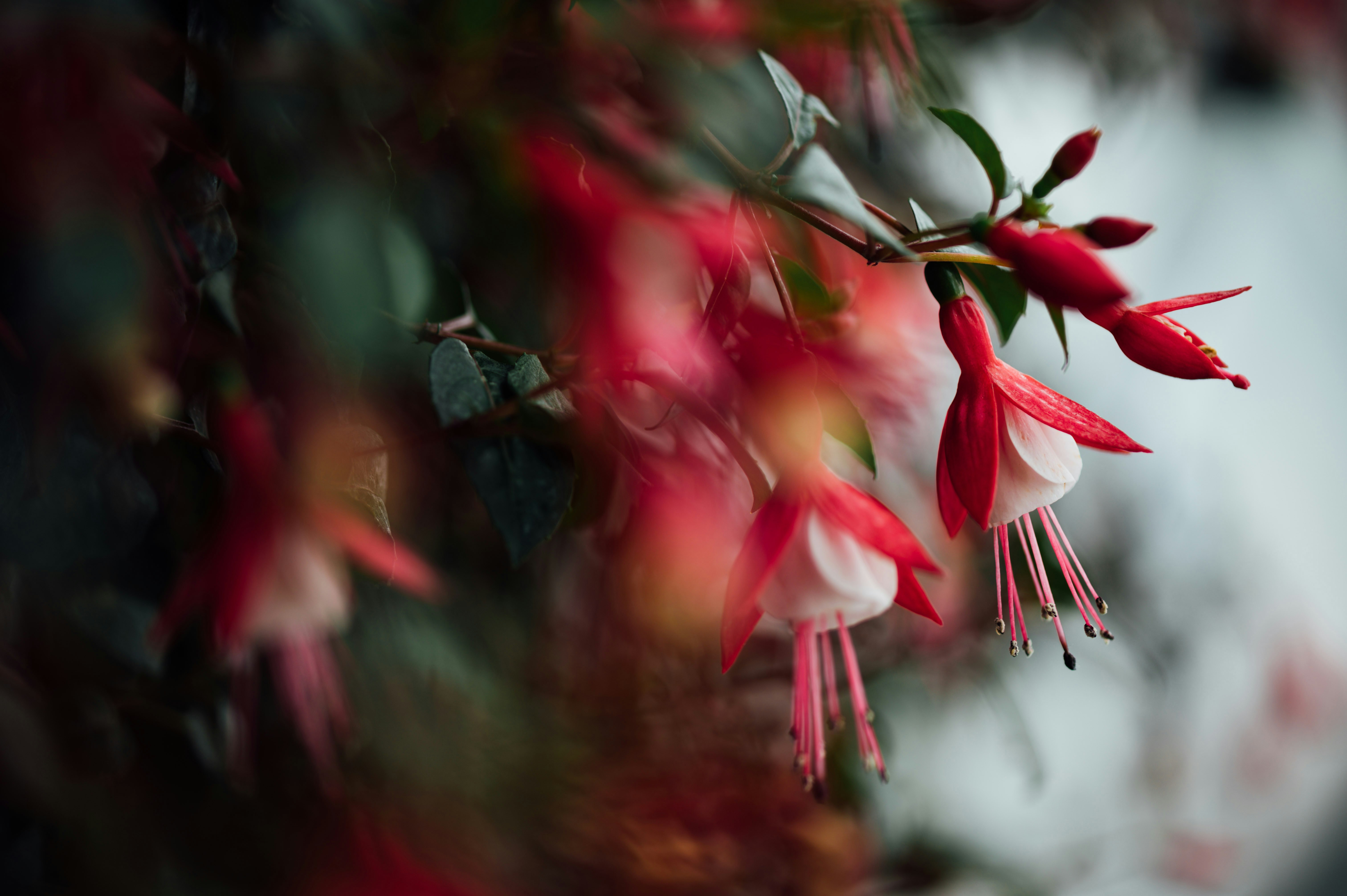 Photo by chuttersnap