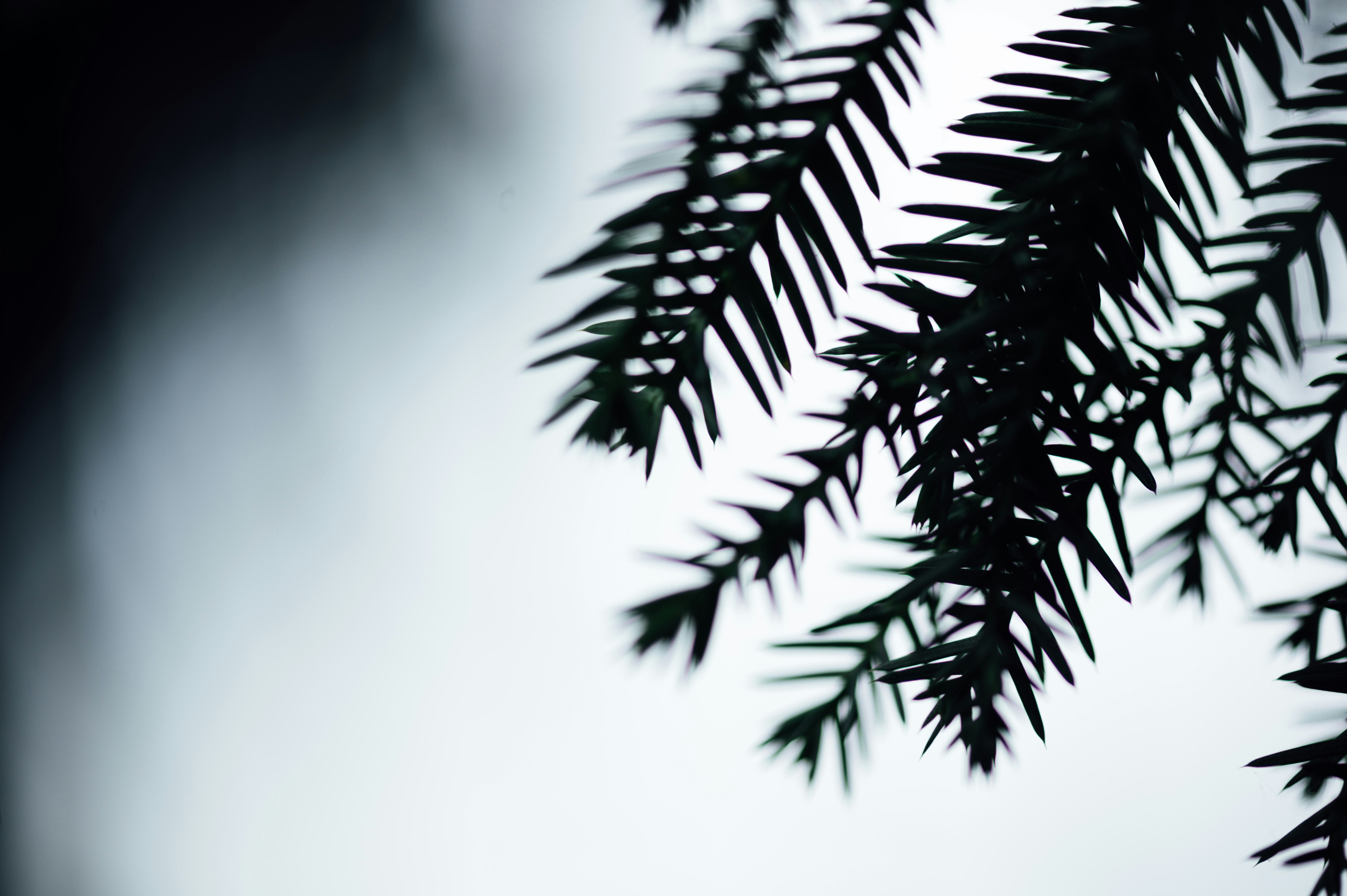 Photo by chuttersnap