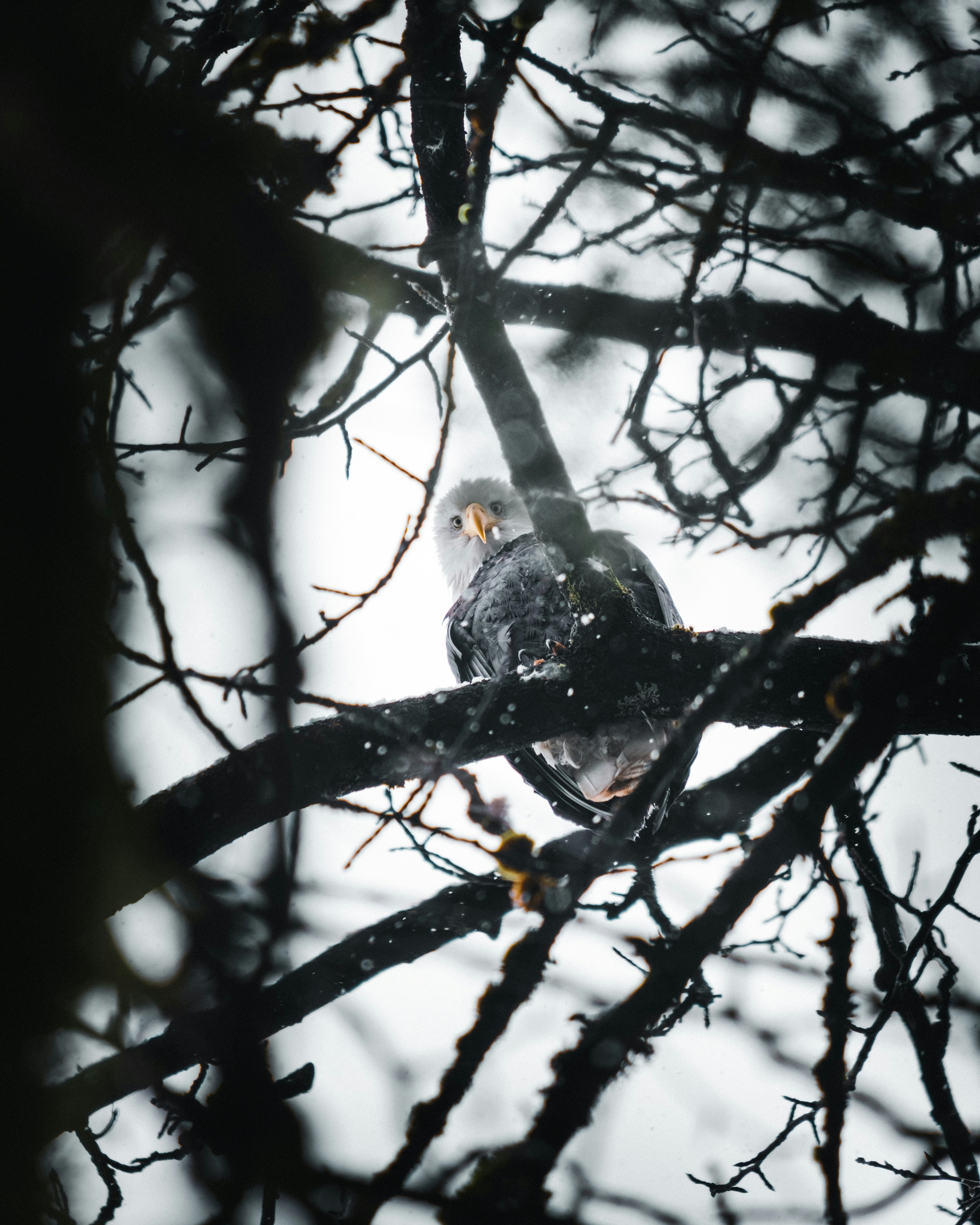 Photo by northernstatemedia
