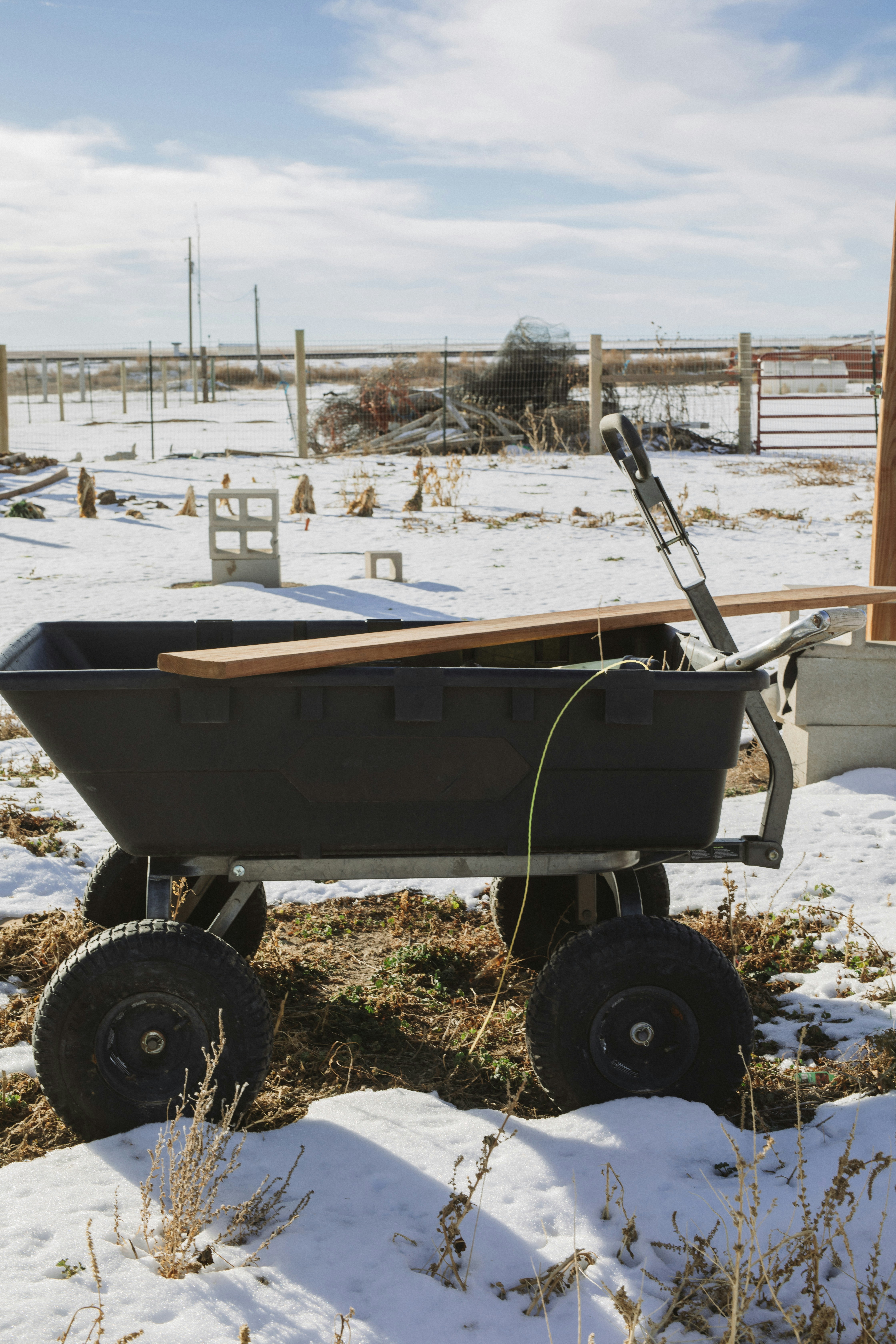 barco marrom e preto no chão coberto de neve branca durante o dia