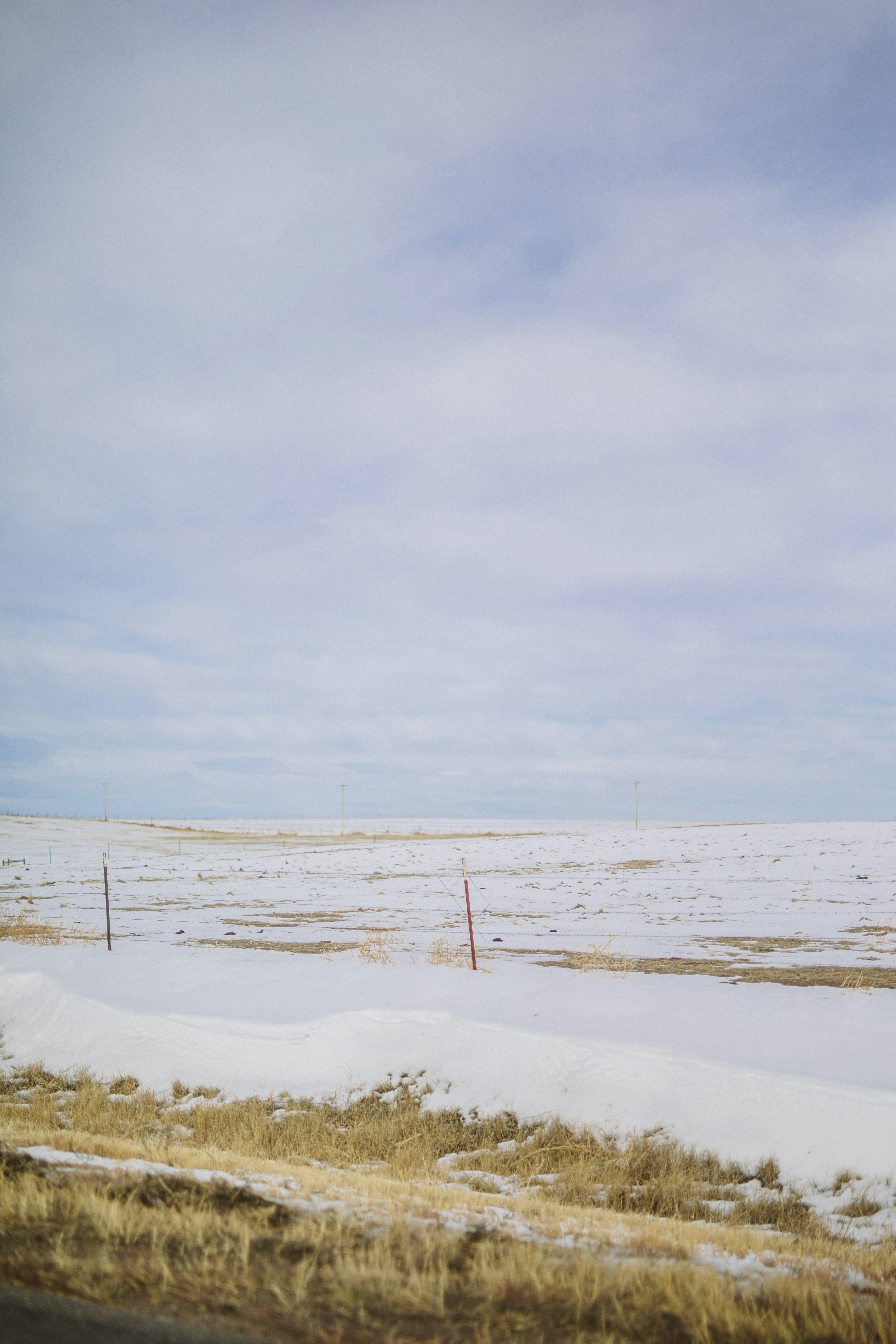 Photo by donovan_valdivia