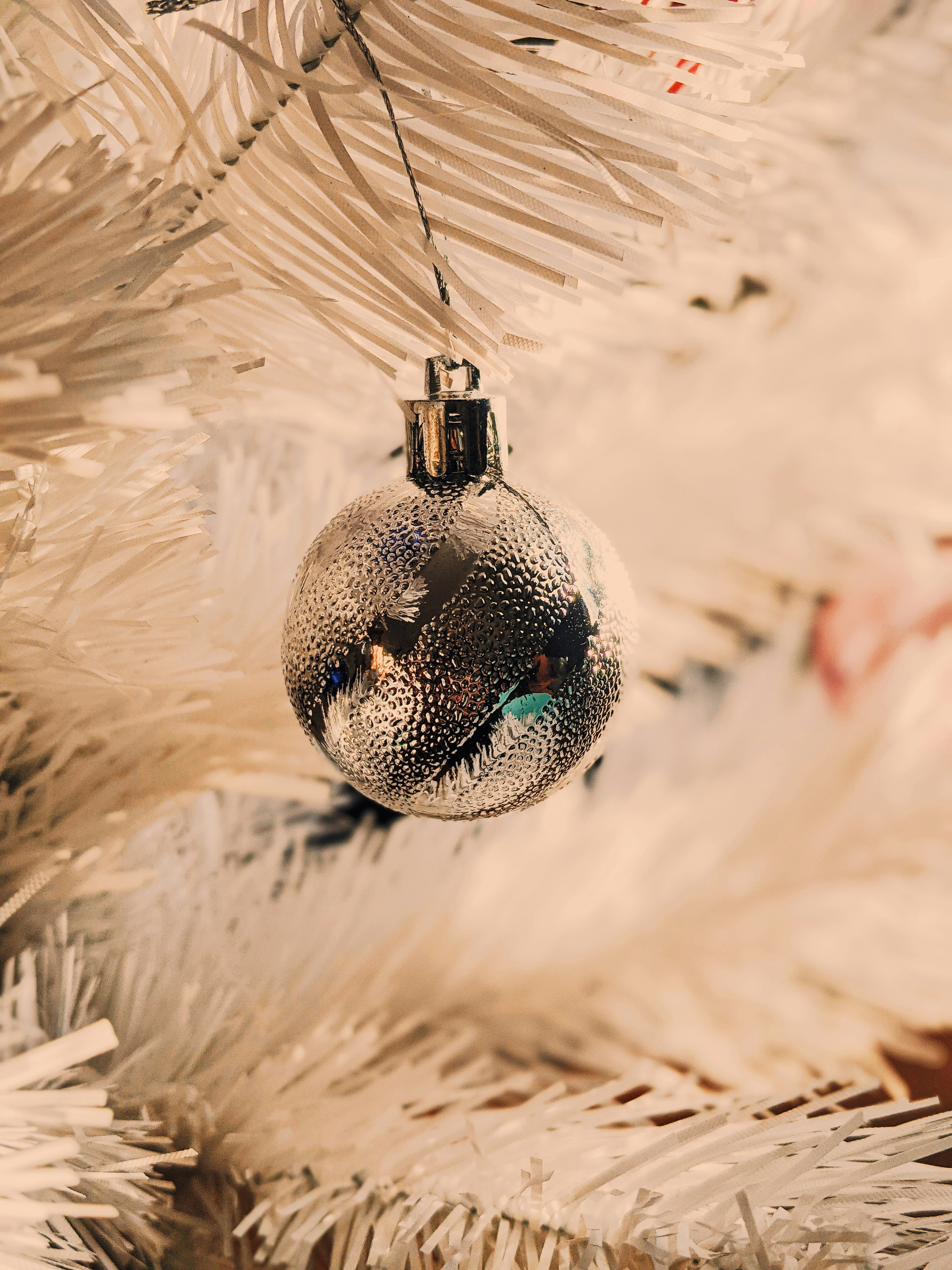 Photo by animgraphlab