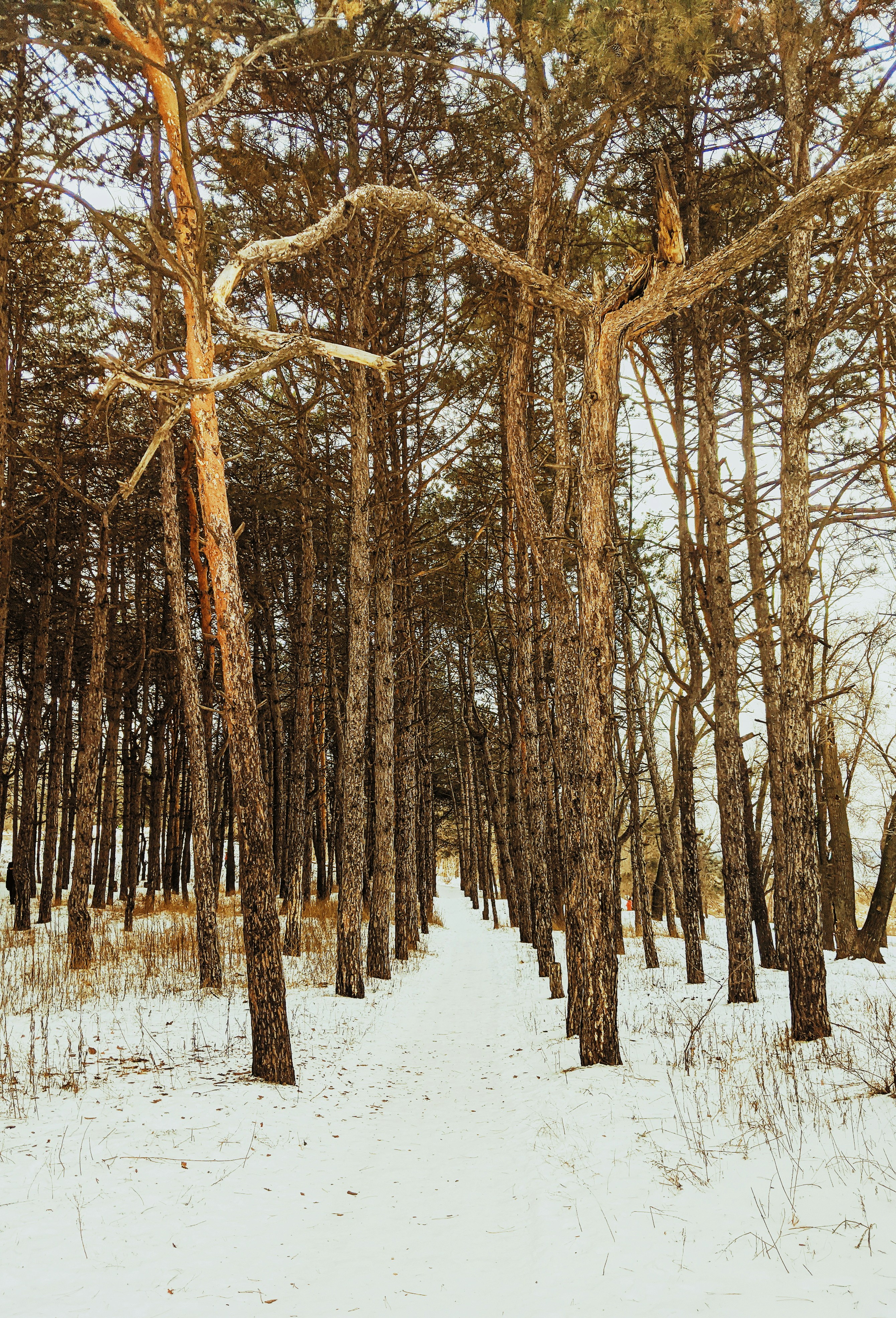 Photo by animgraphlab