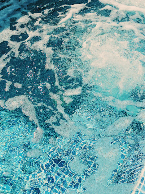 brown and black stone in water