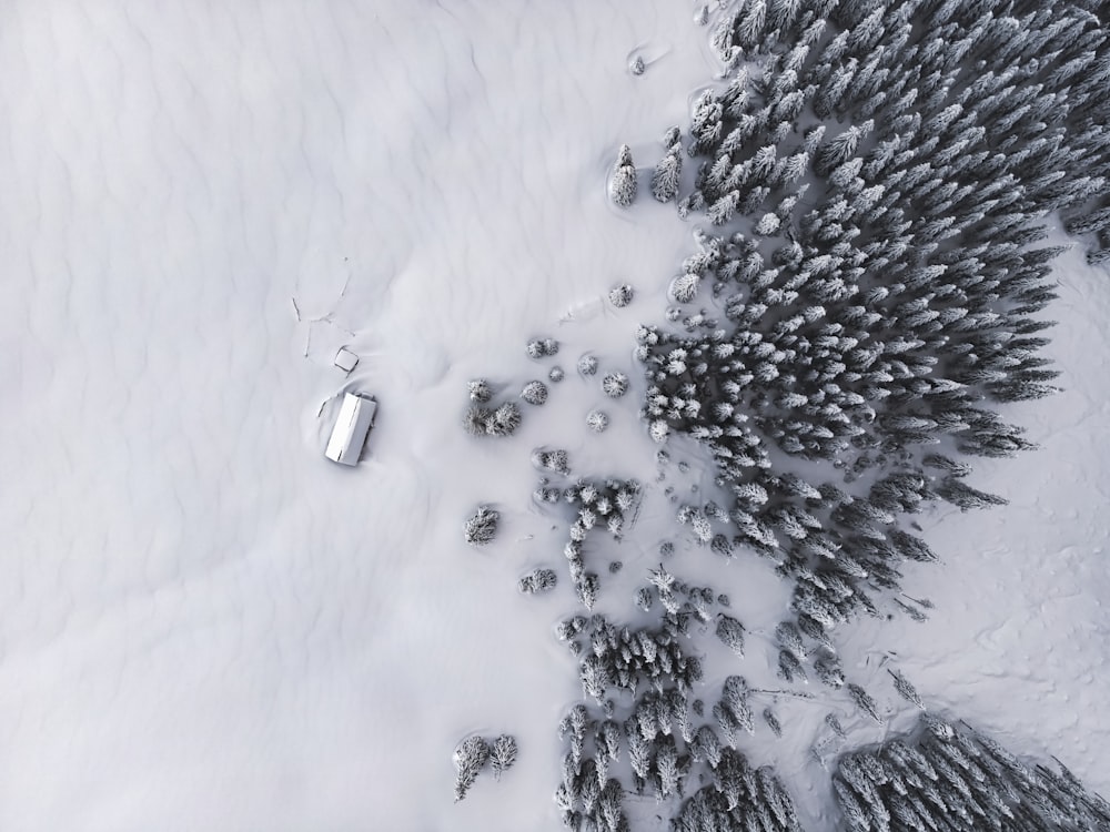 an aerial view of a snow covered forest