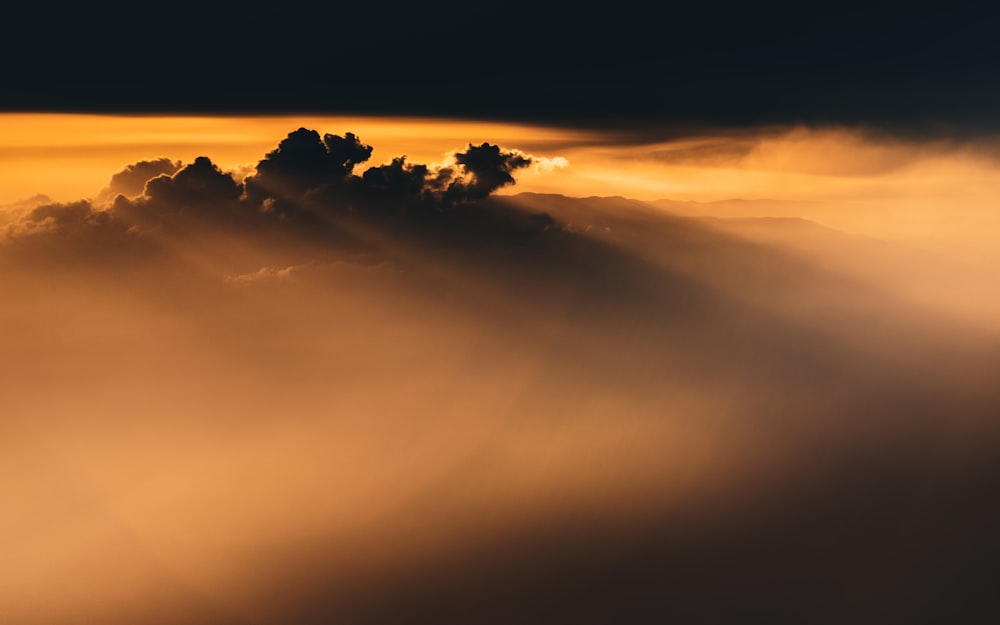 夕暮れ時の曇り空の下の木のシルエット