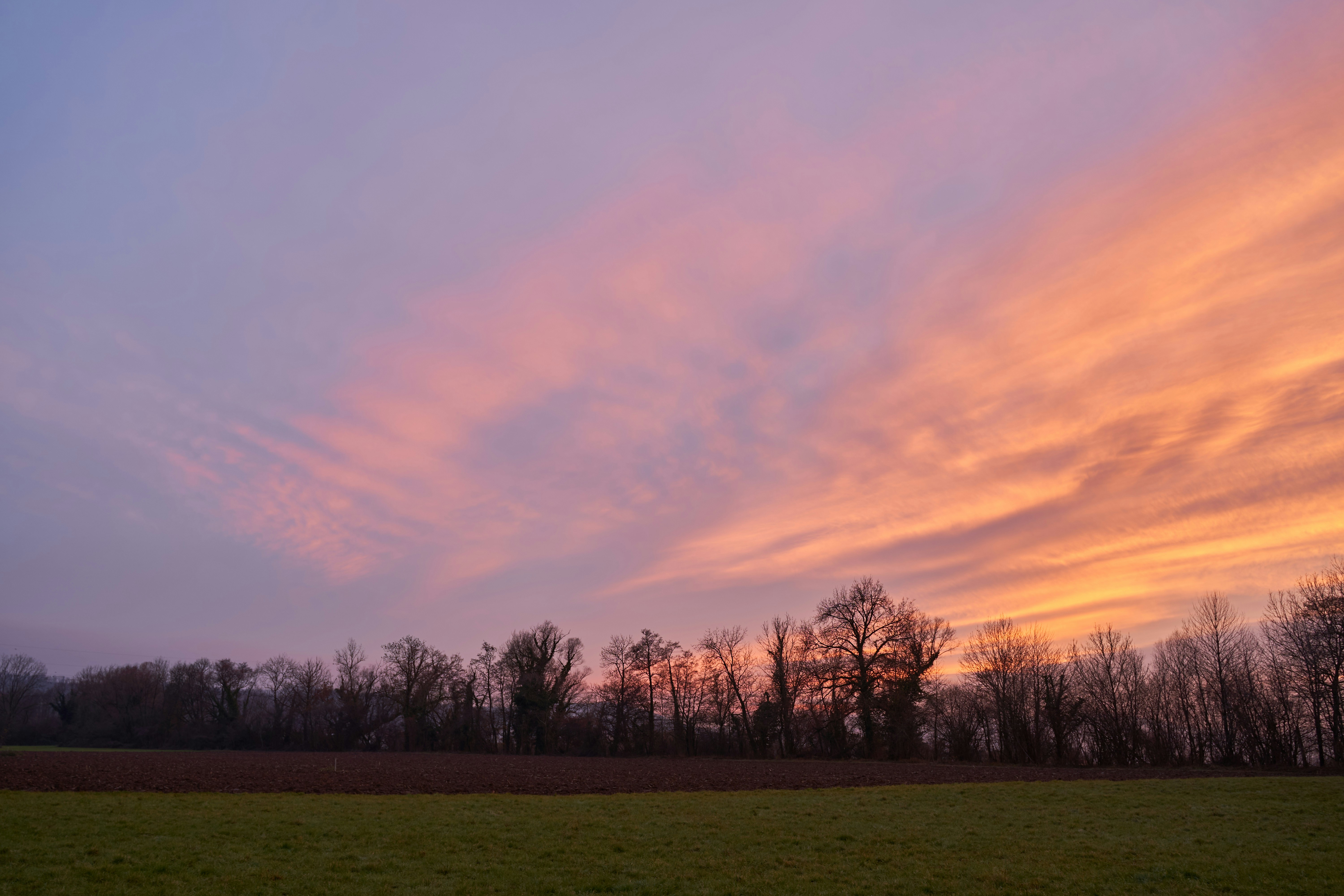 Photo by wolfgang_hasselmann