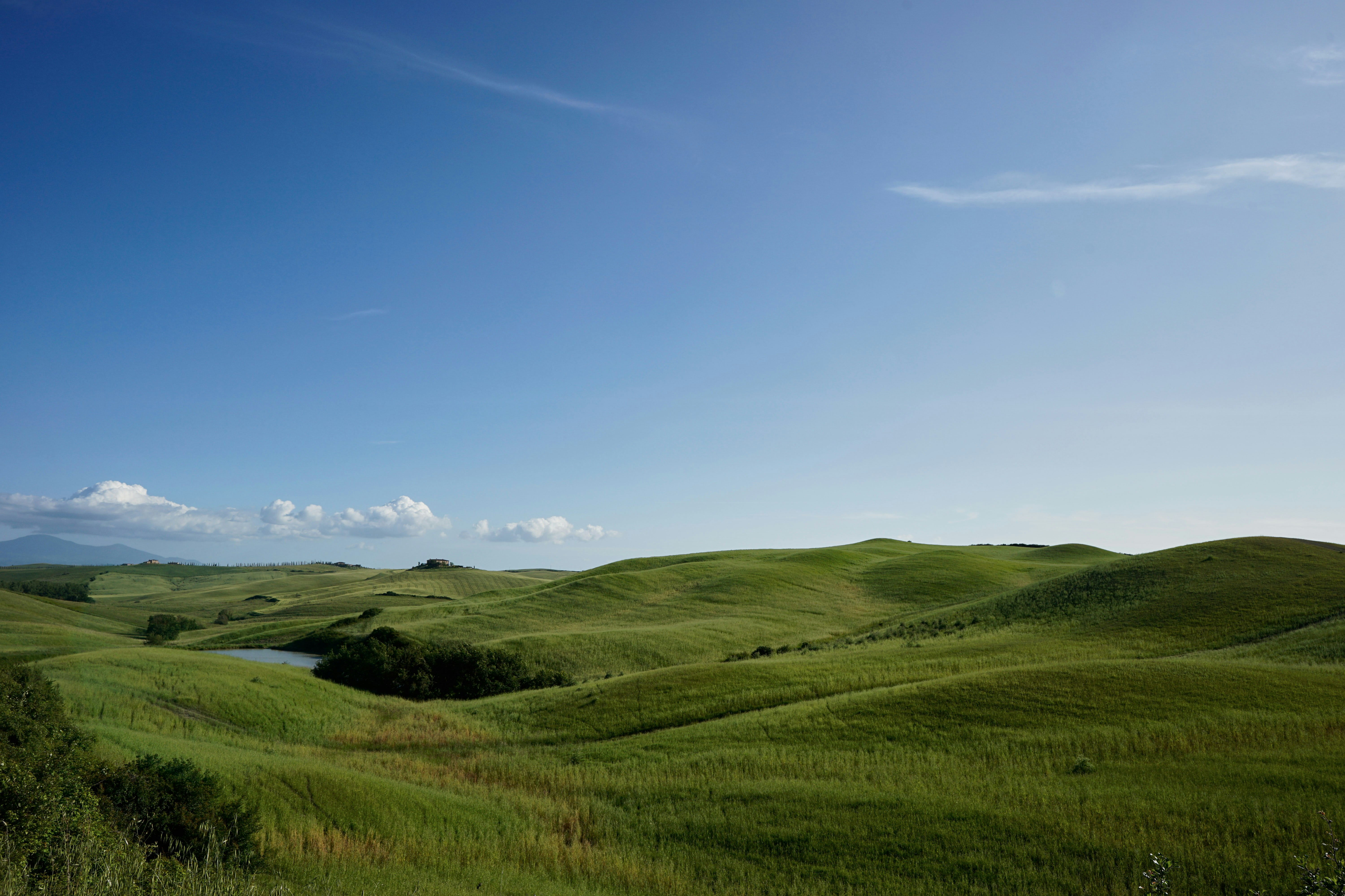 Photo by wolfgang_hasselmann