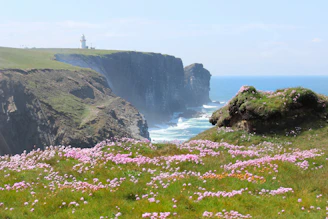 green grass covered mountain beside body of water during daytime Ireland