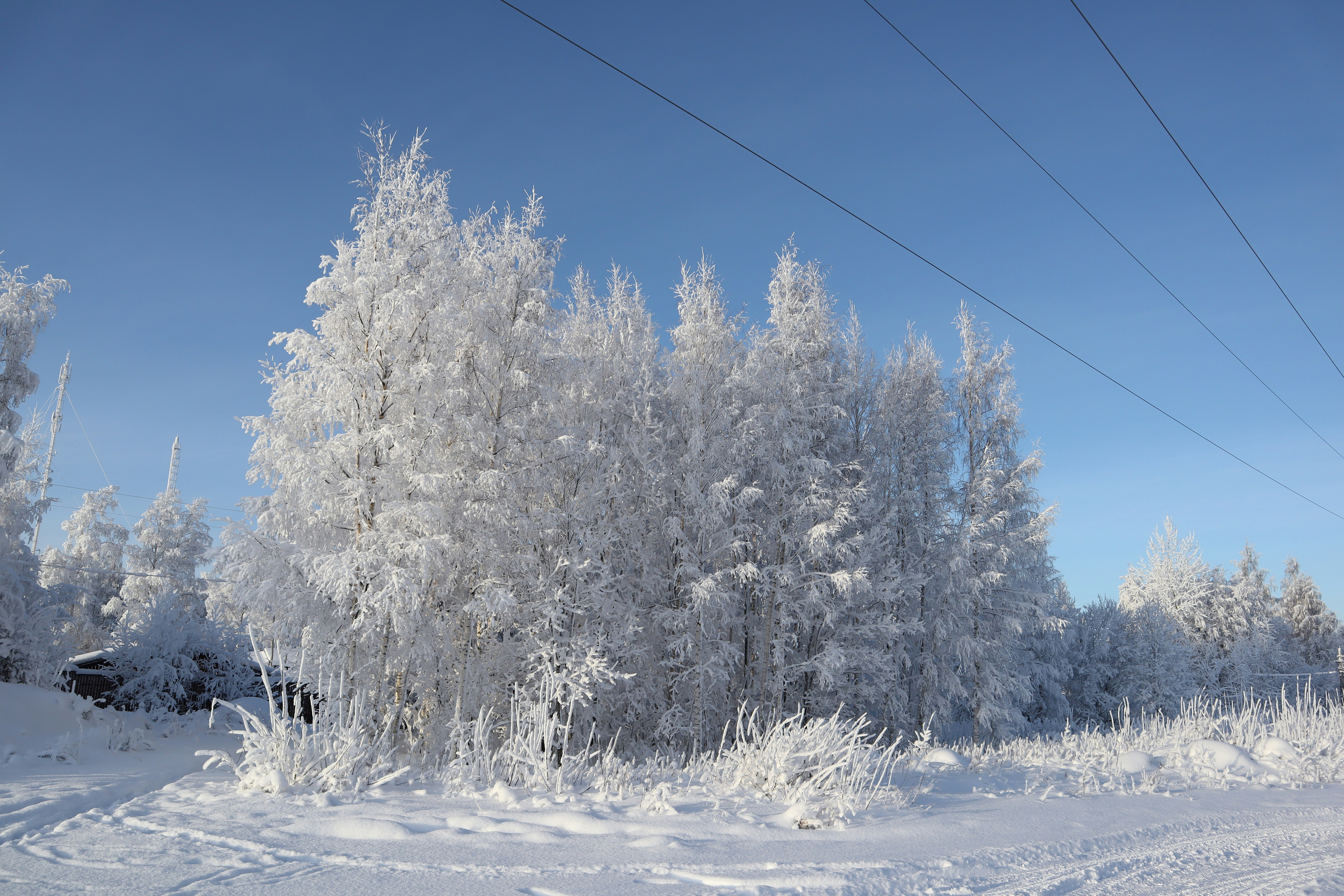 Photo by makakakakala