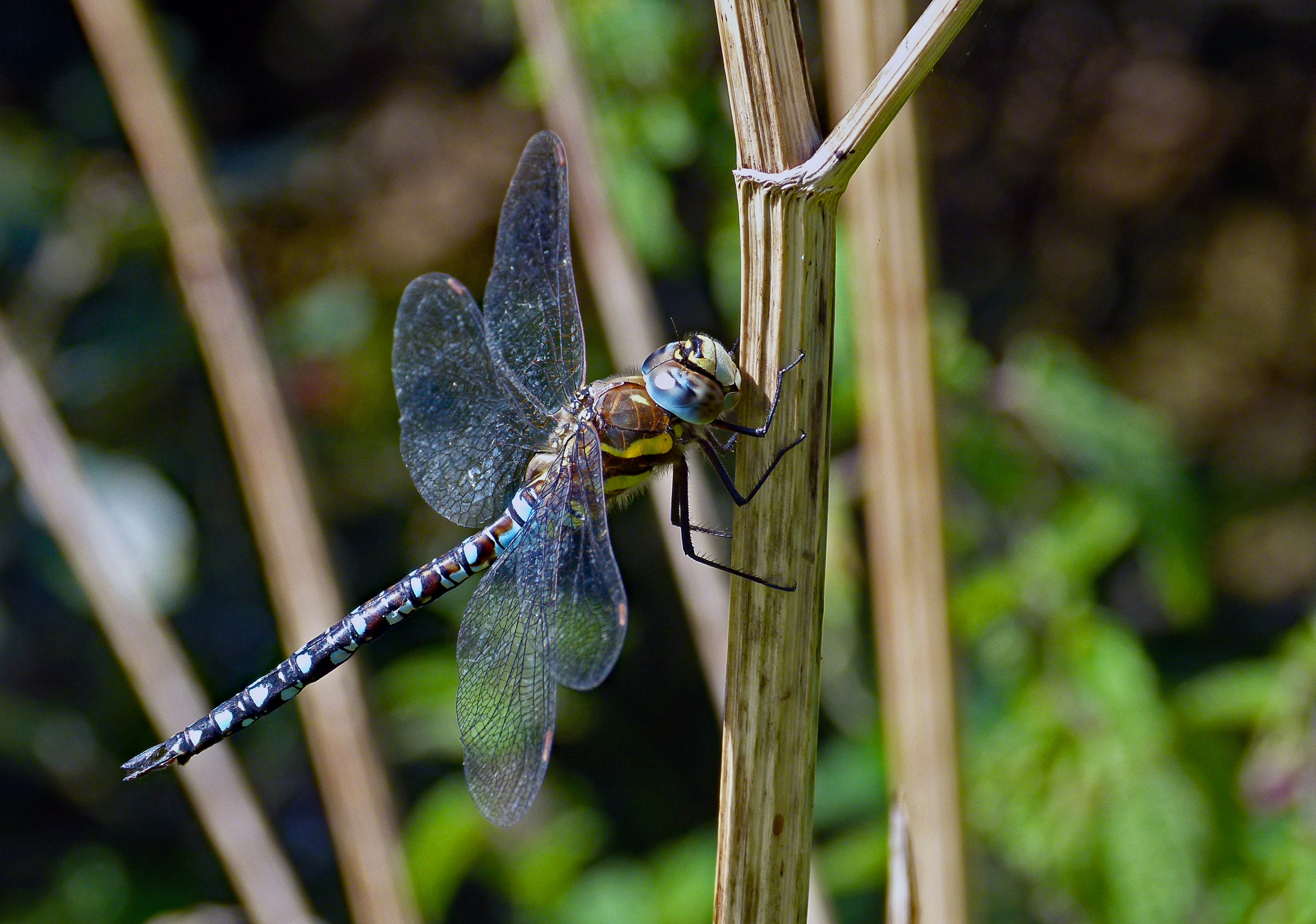 Photo by les_attridge