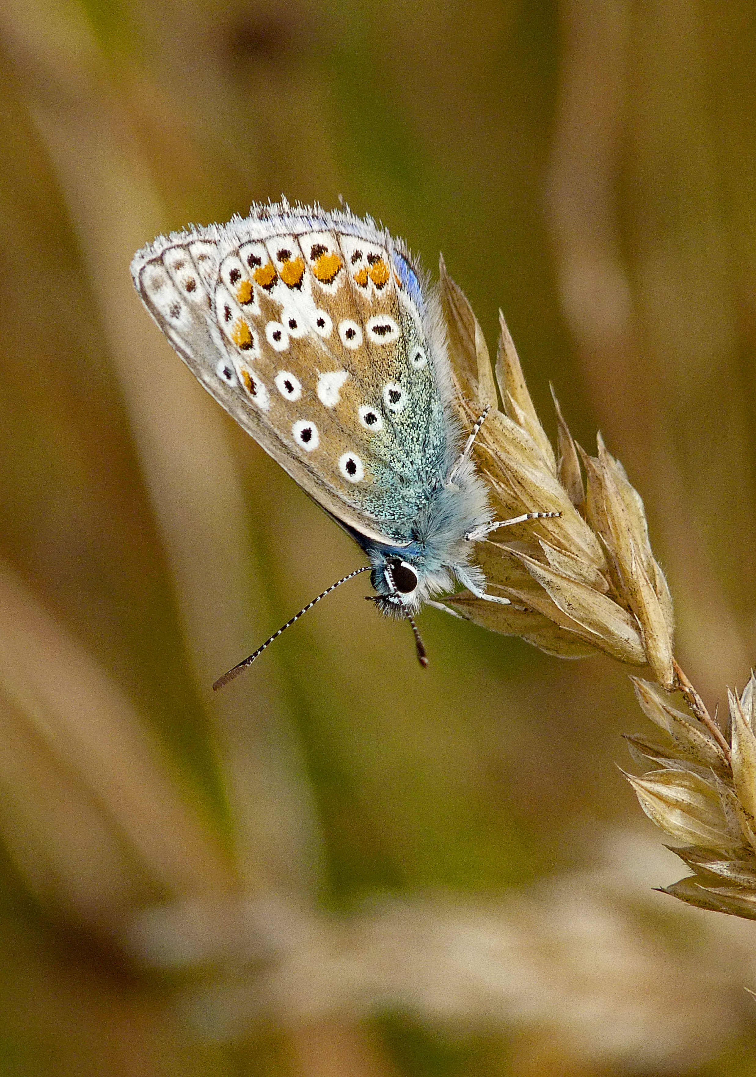 Photo by les_attridge