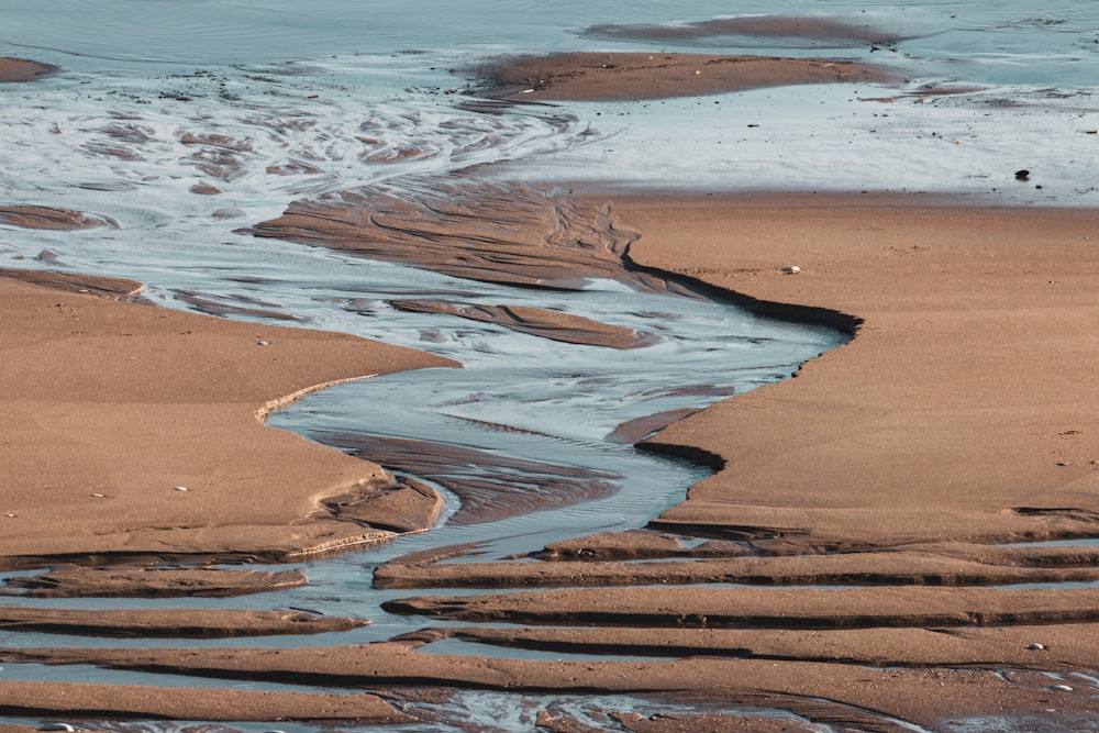 日中の水域近くの茶色の砂