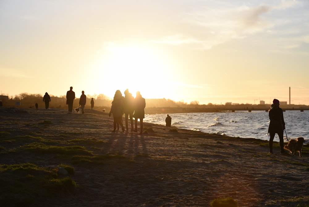 silhouette of people on beach during sunset