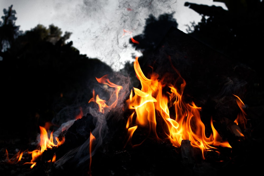 burning fire on black metal frame