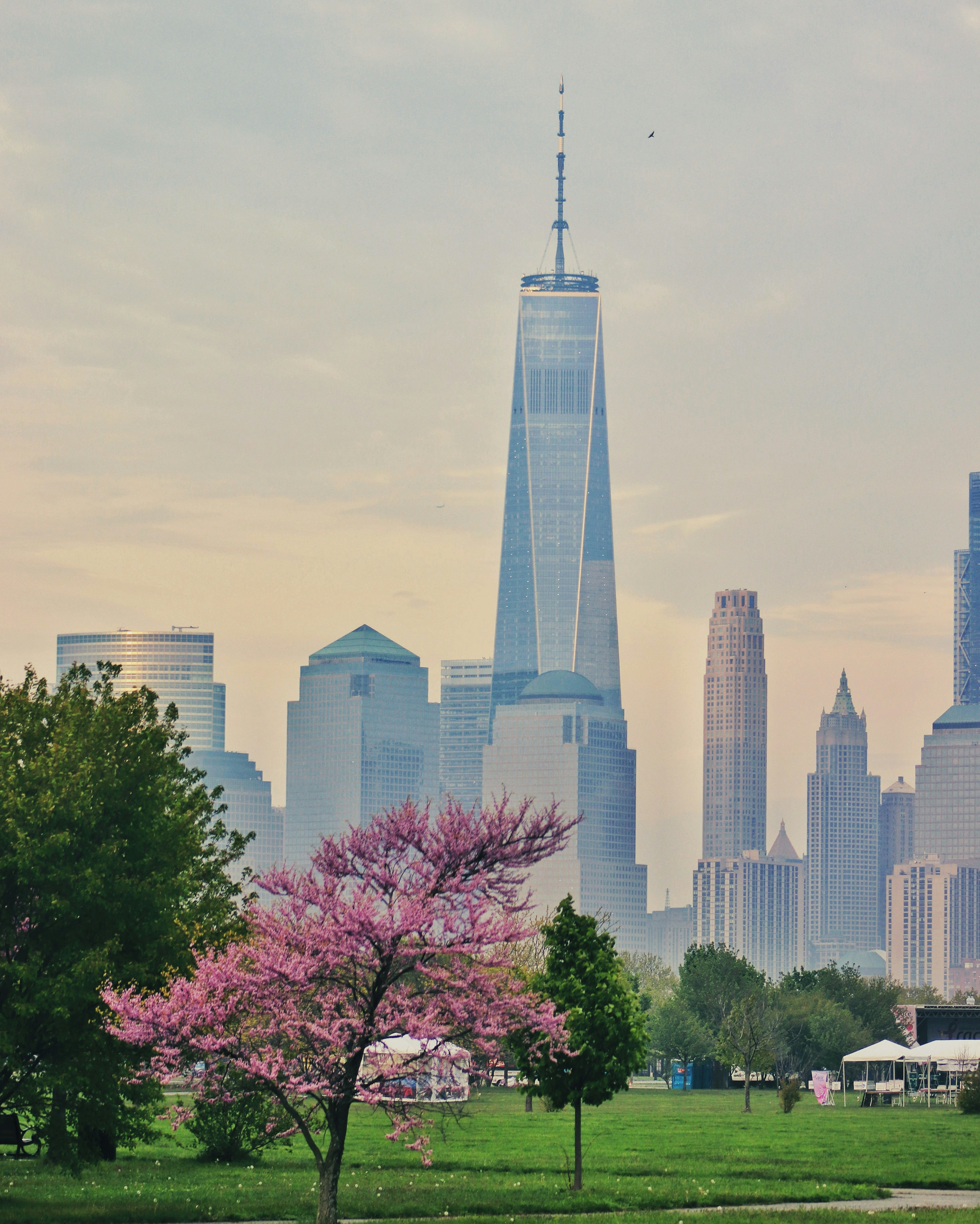 high rise buildings near trees under white sky during daytime