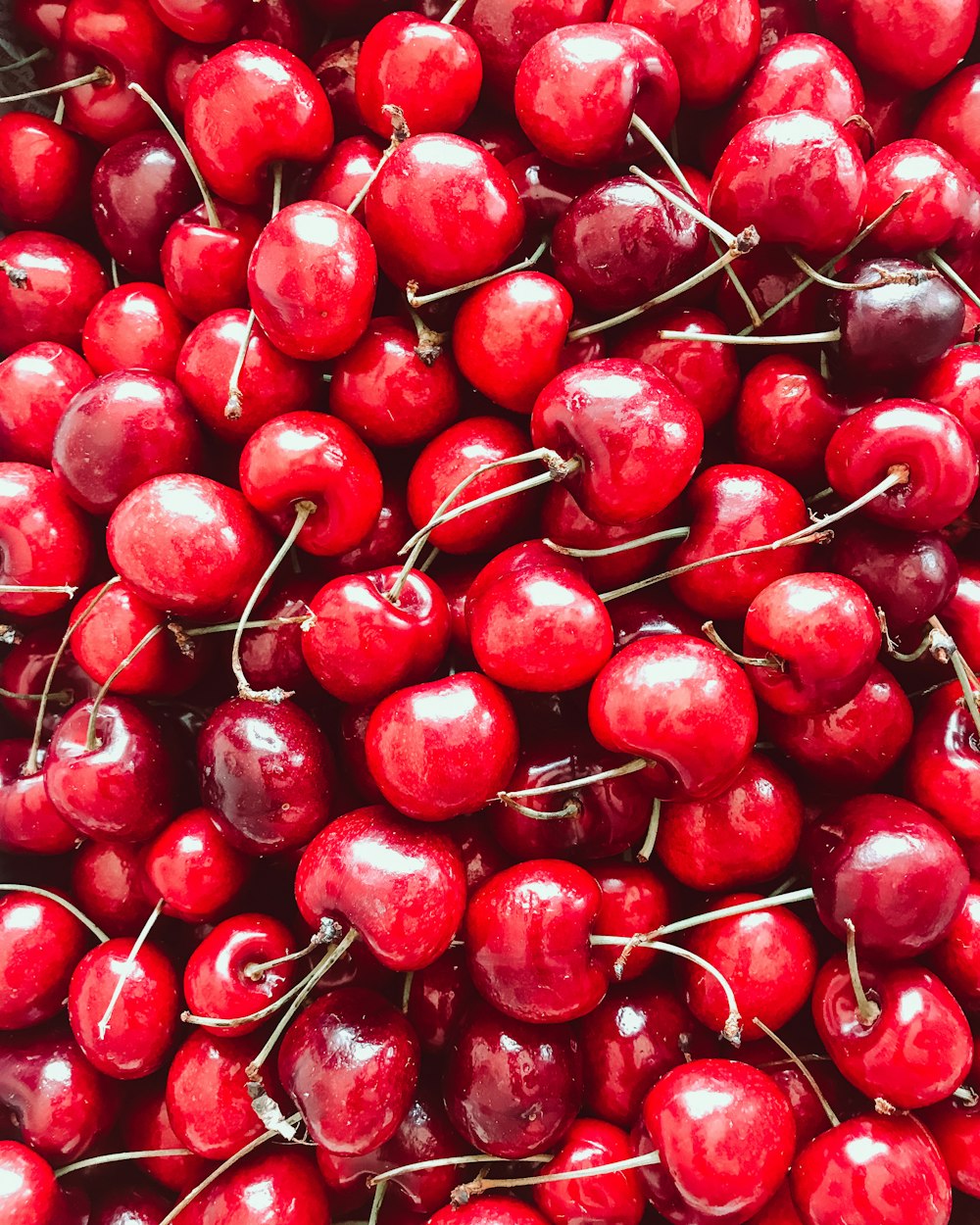 cerejas vermelhas na fotografia de perto