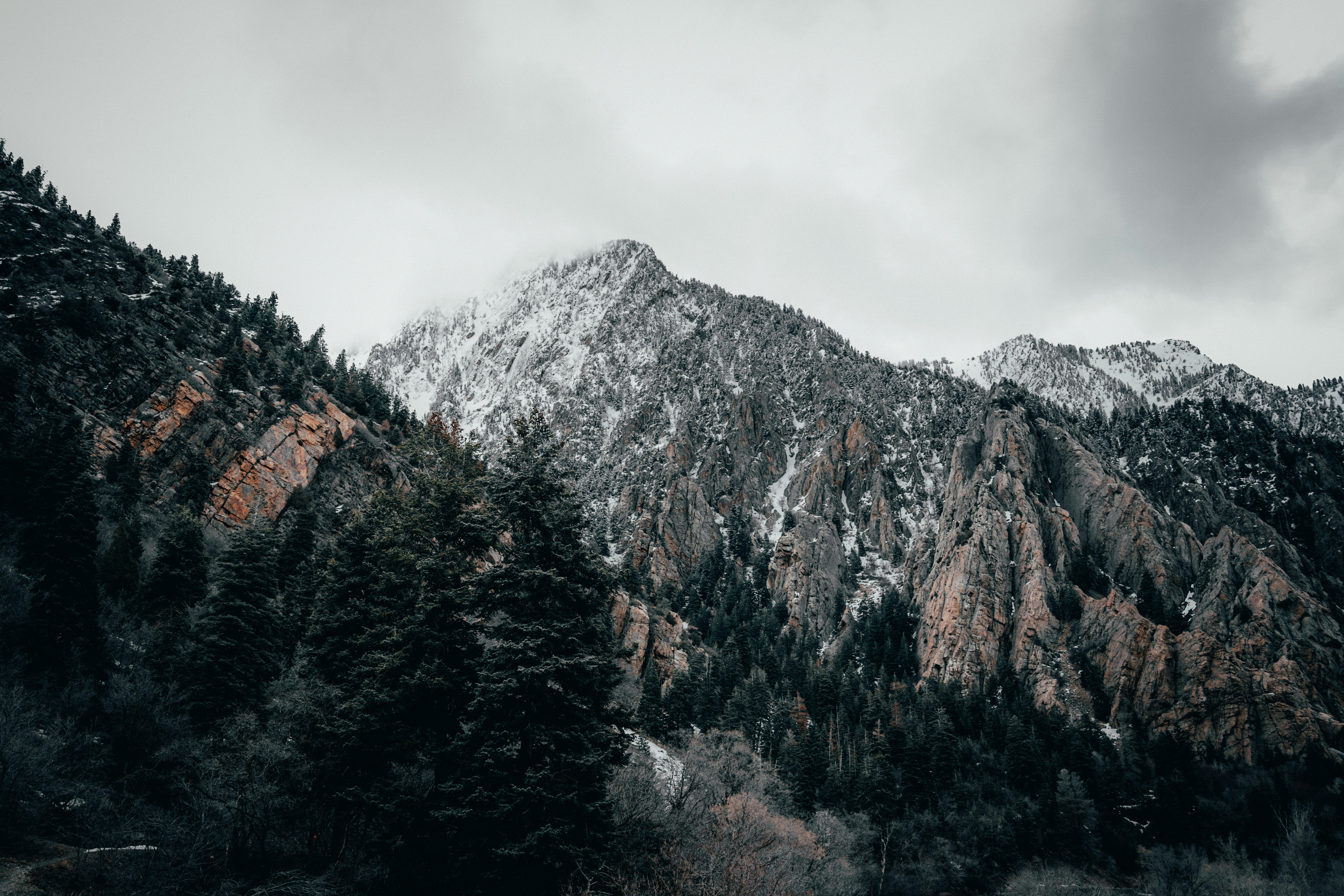 brown and green trees near mountain under white clouds during daytime