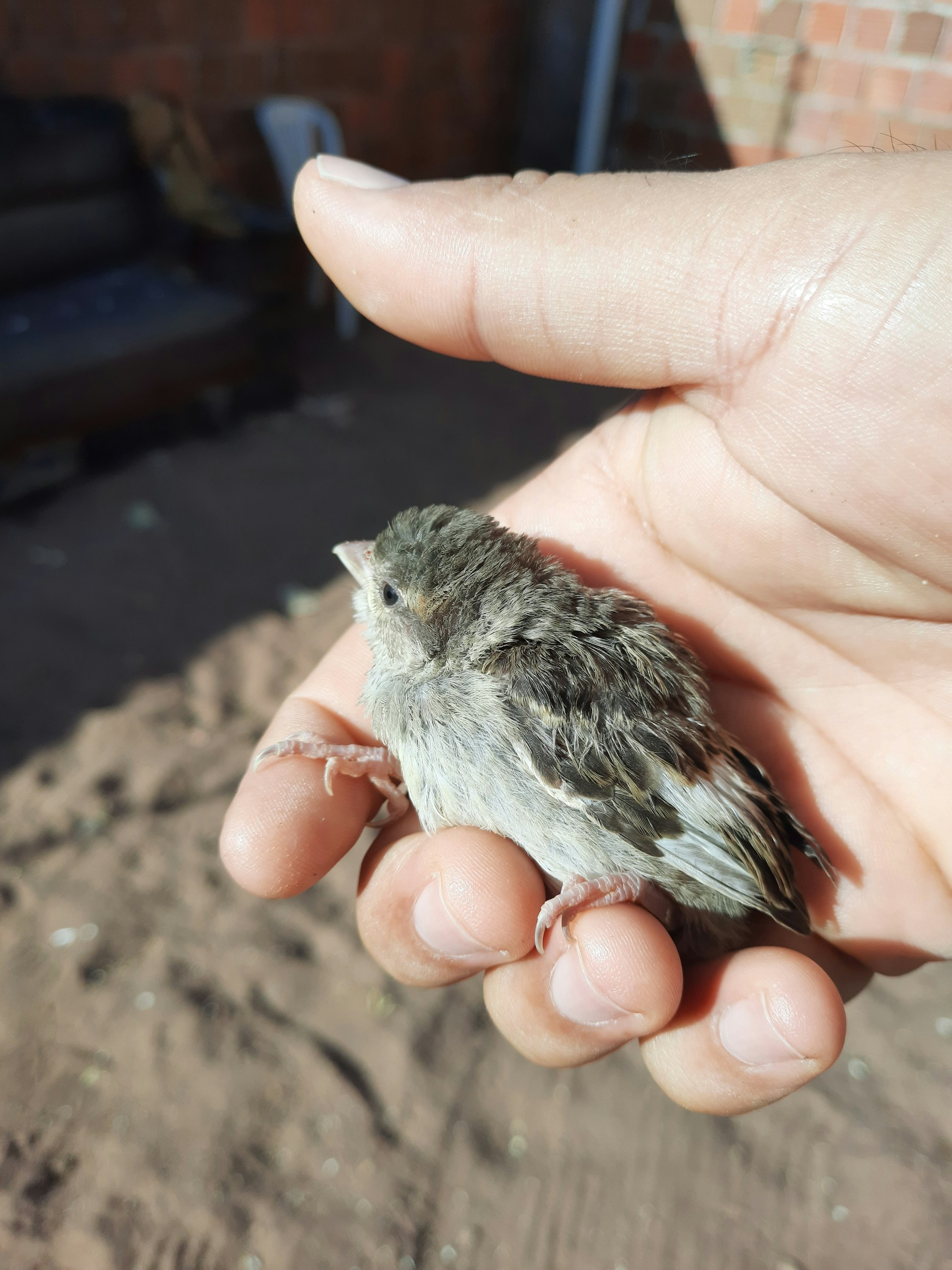 gray computer monitor