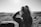 A black and white image capturing a person with long hair tied in a ponytail. They are wearing a jacket, facing away from the camera, and appear to be photographing or looking out over a vast landscape. The scene is sunlit, creating lens flares and a serene atmosphere.