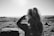 A black and white image capturing a person with long hair tied in a ponytail. They are wearing a jacket, facing away from the camera, and appear to be photographing or looking out over a vast landscape. The scene is sunlit, creating lens flares and a serene atmosphere.
