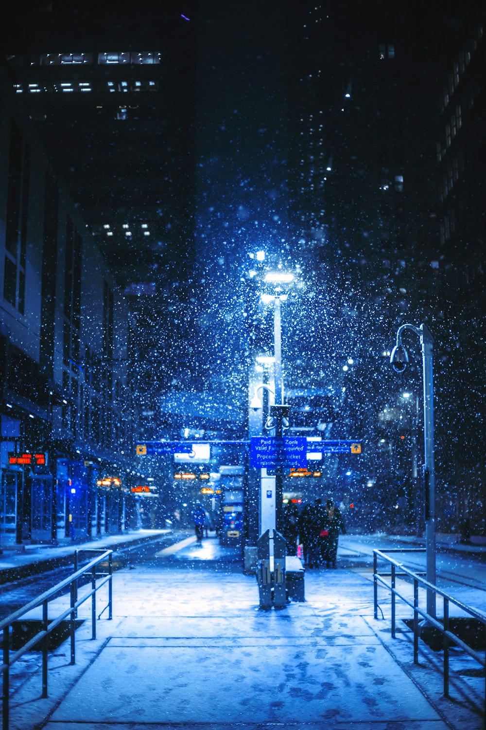 30,000+ Snow City Pictures | Download Free Images on Unsplash