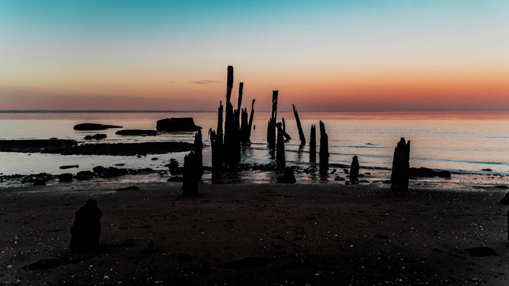 brown wooden poles on beach during sunset